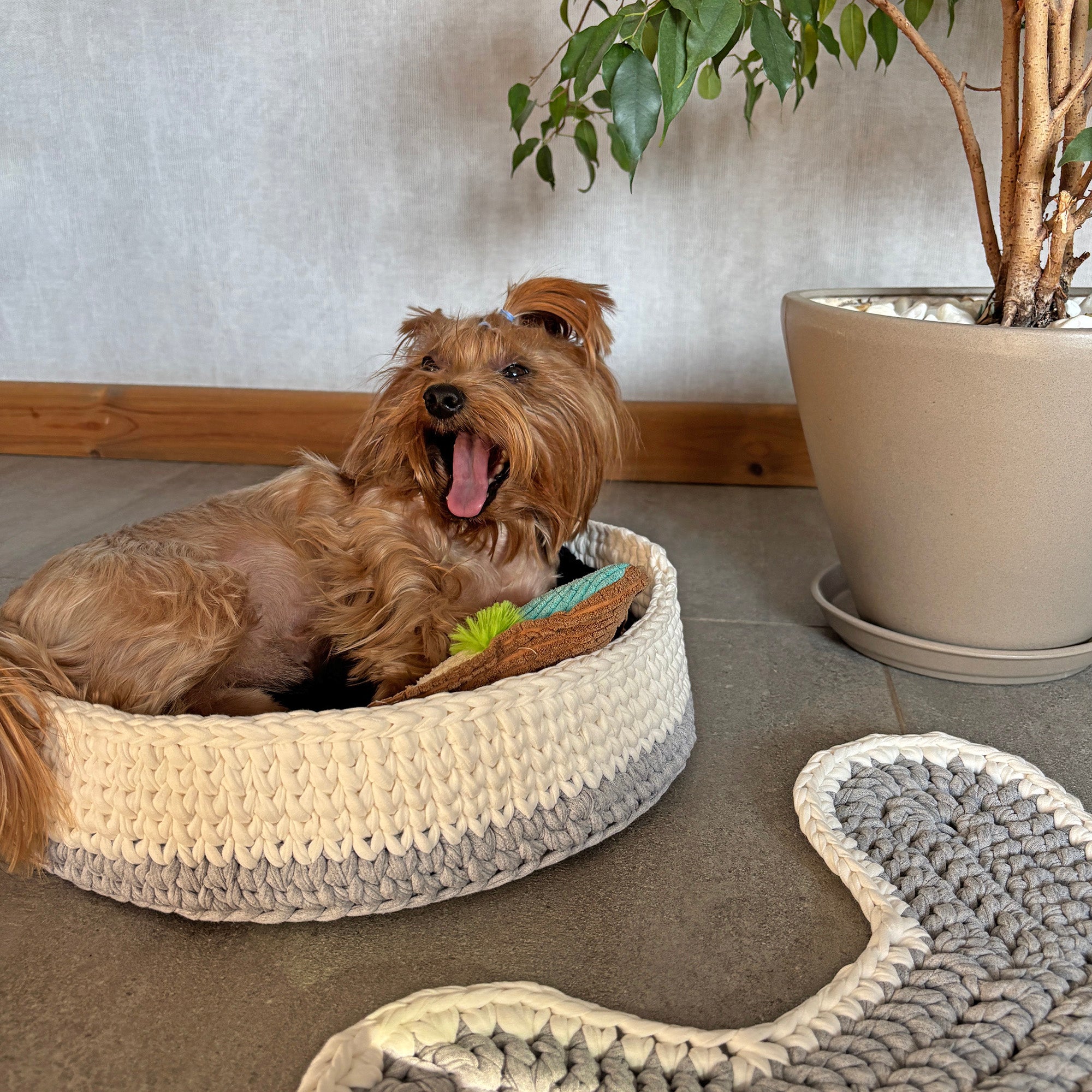 DOG BED & MAT CACTIS CAT HAT Crochet Pattern (skill level Beginner)