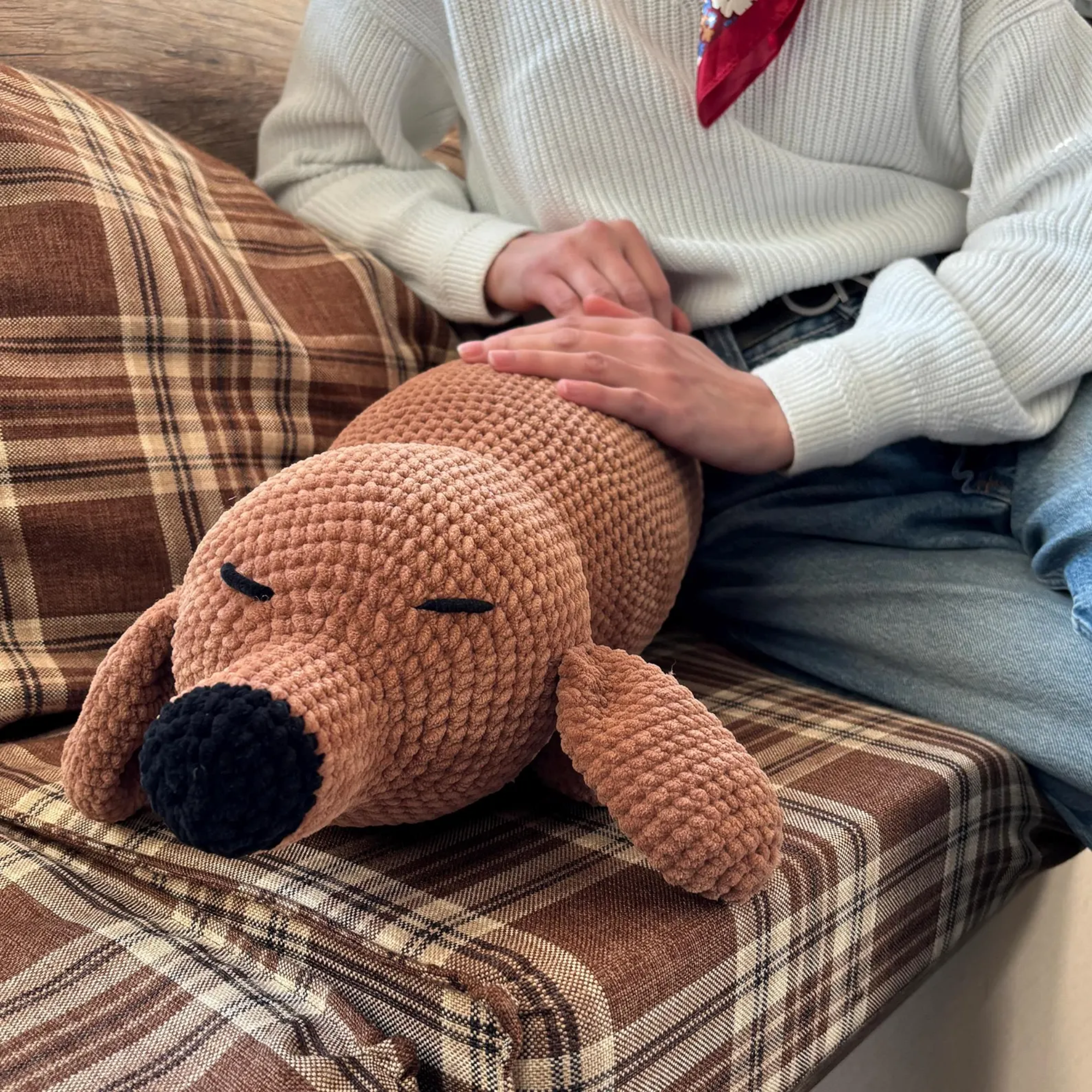 DOG PILLOW Crochet Pattern (skill level beginner)