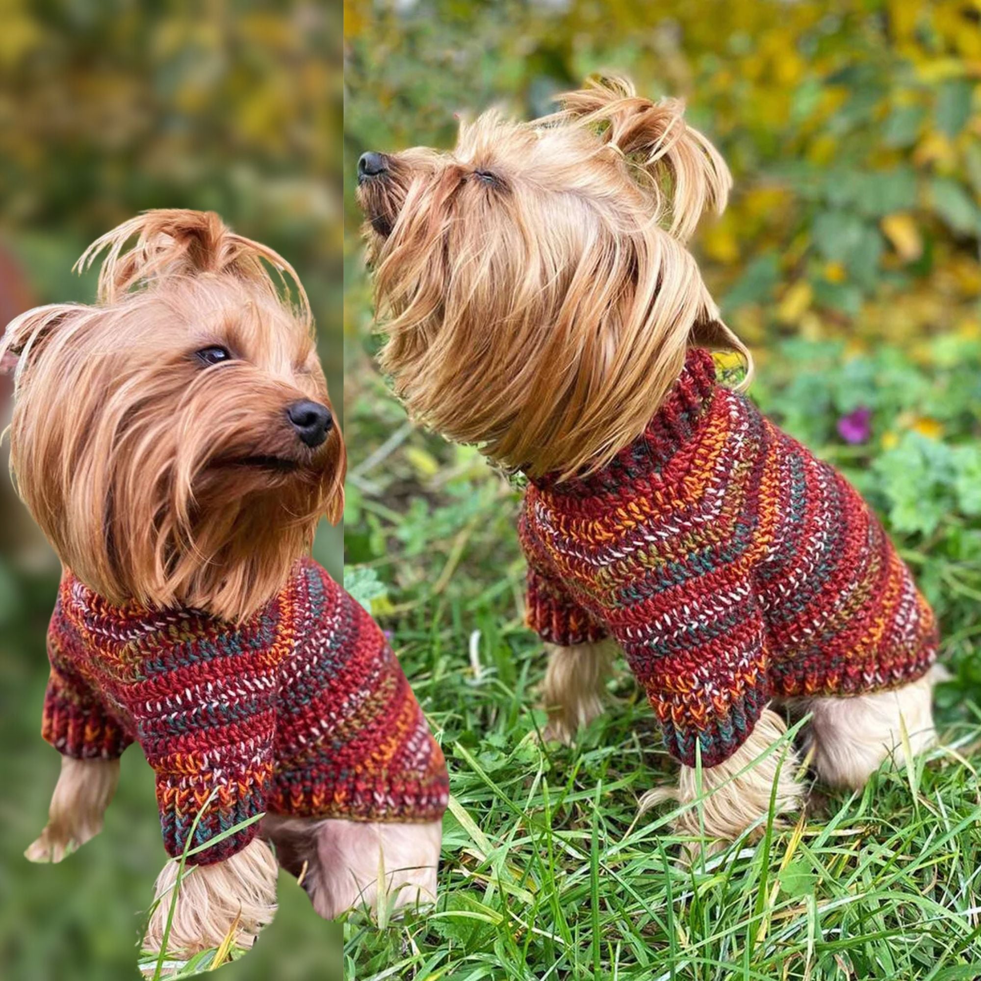 Dog Sweater Crochet Kit  (skill level Beginner)