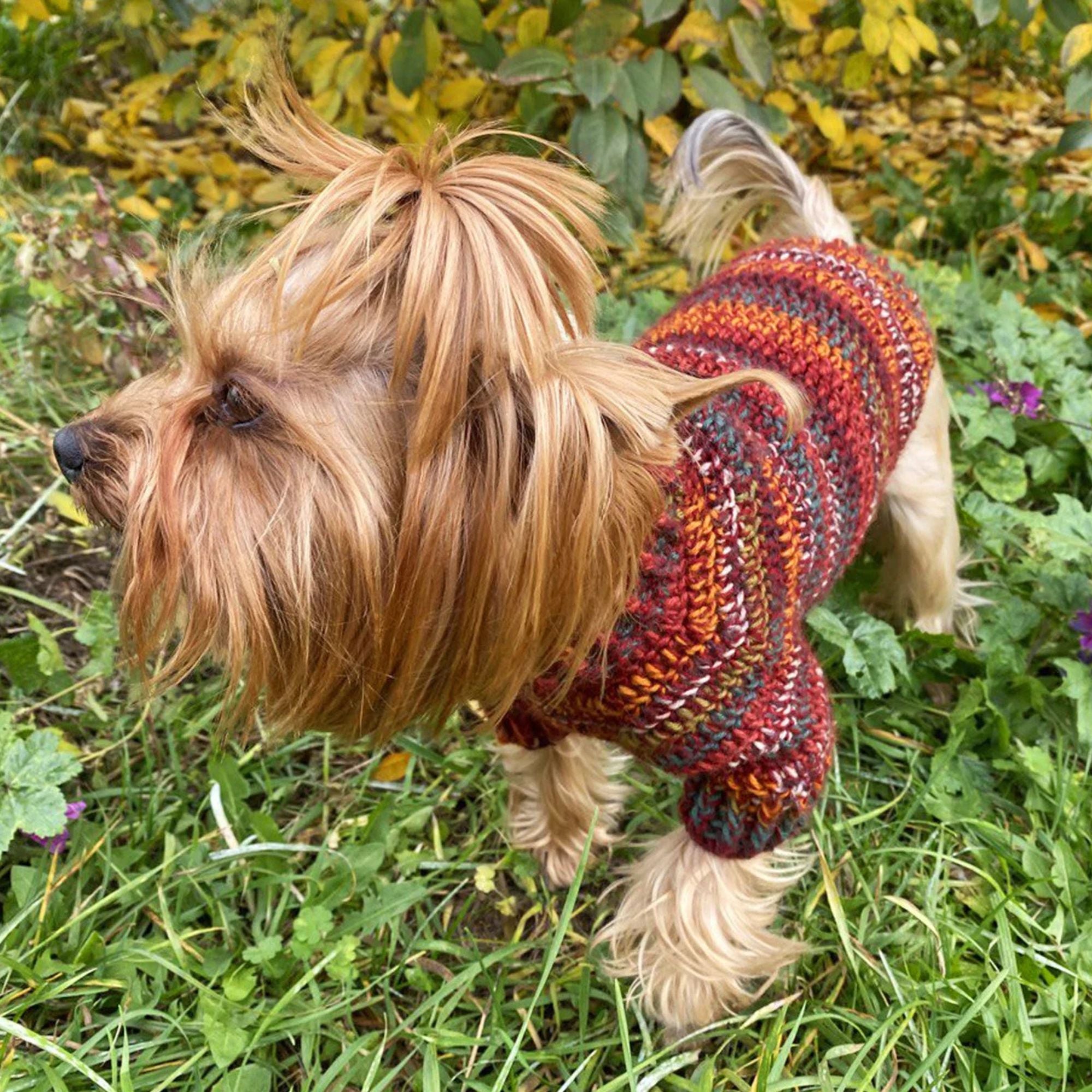 Dog Sweater Crochet Kit  (skill level Beginner)