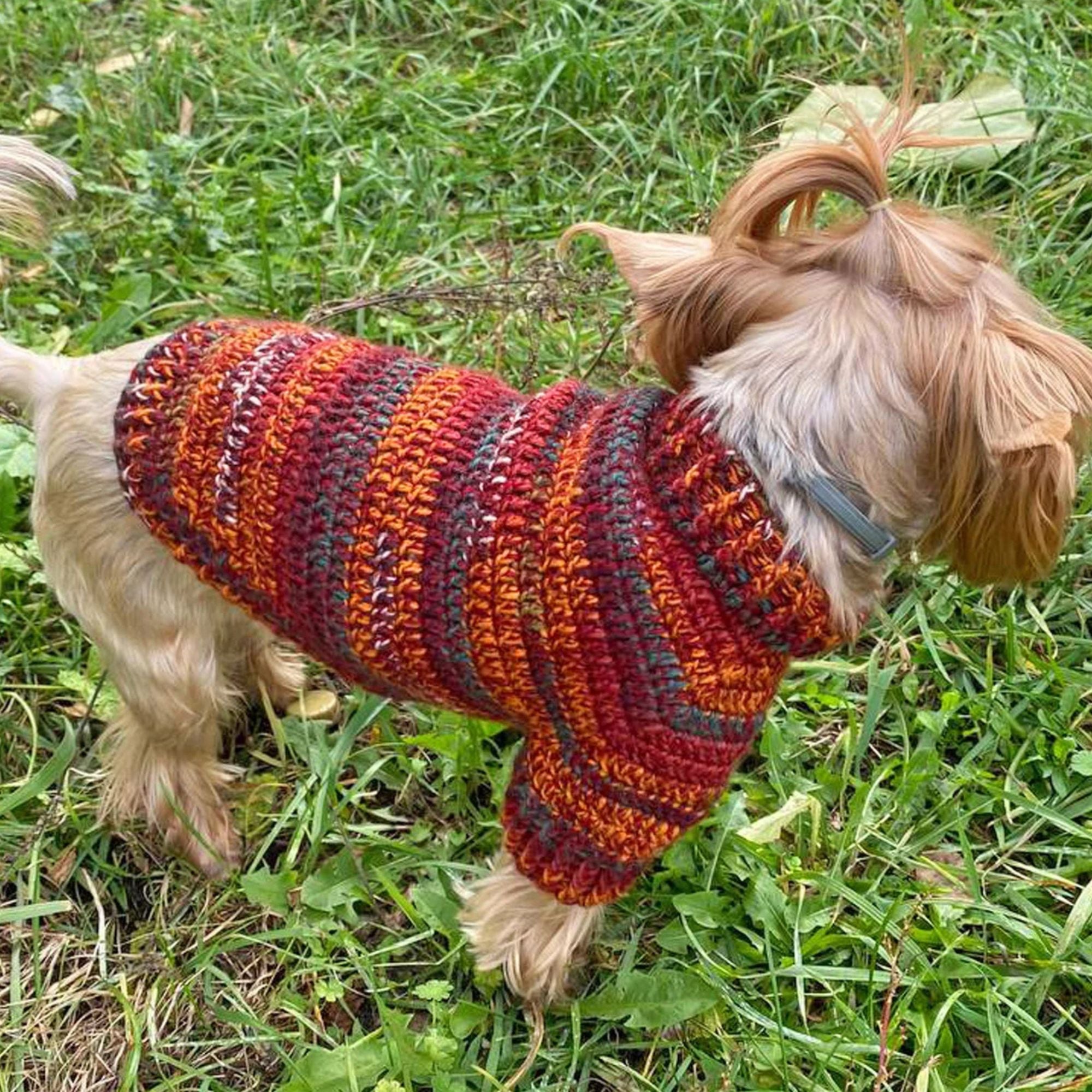 Dog Sweater Crochet Kit  (skill level Beginner)