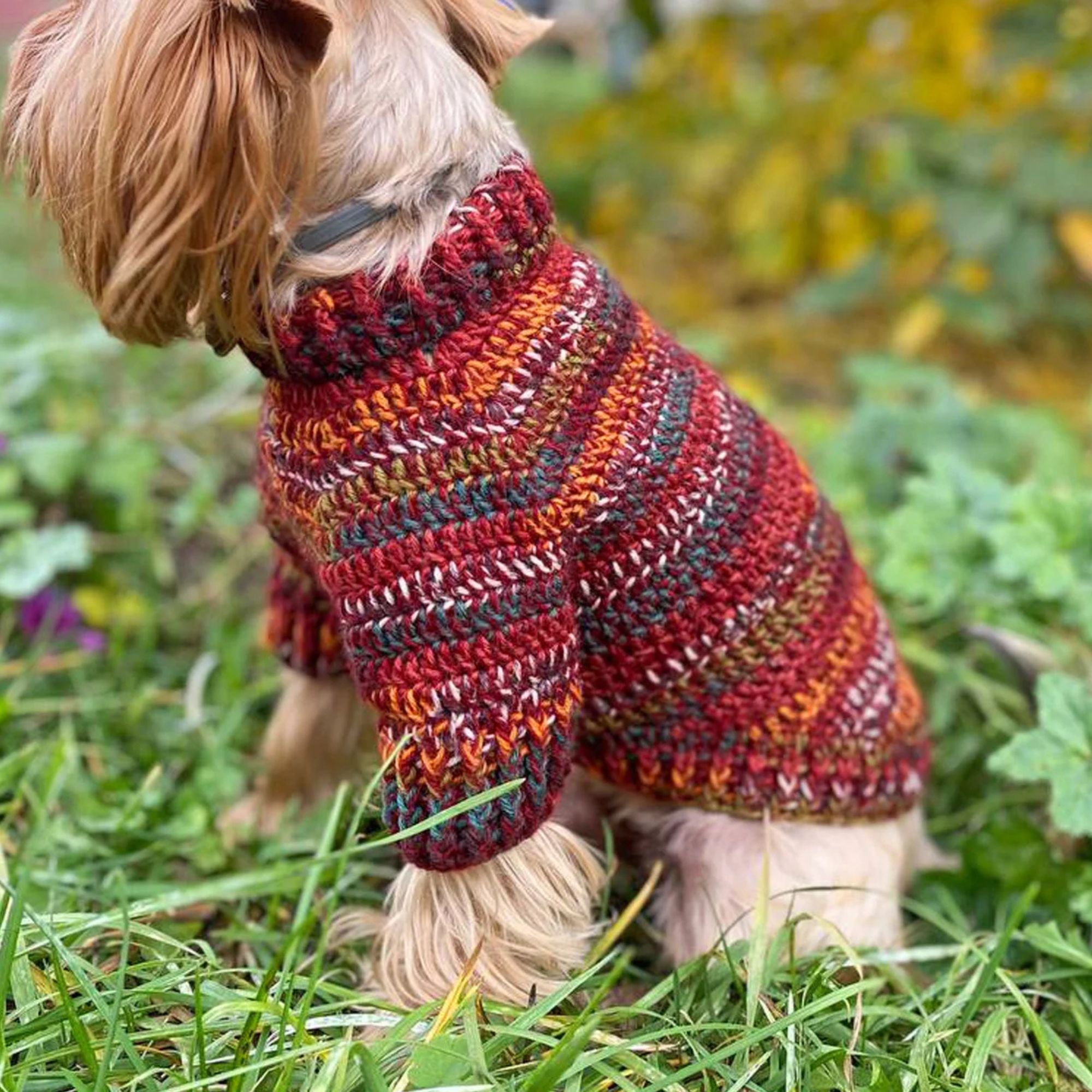 Dog Sweater Crochet Kit  (skill level Beginner)