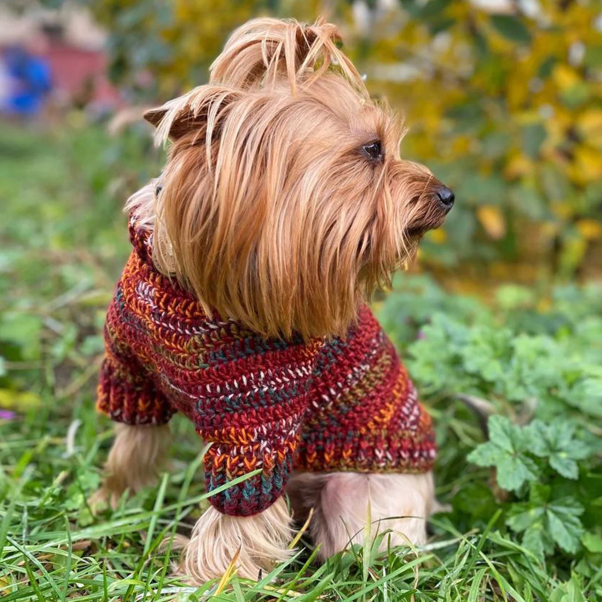 Dog Sweater Crochet Kit  (skill level Beginner)