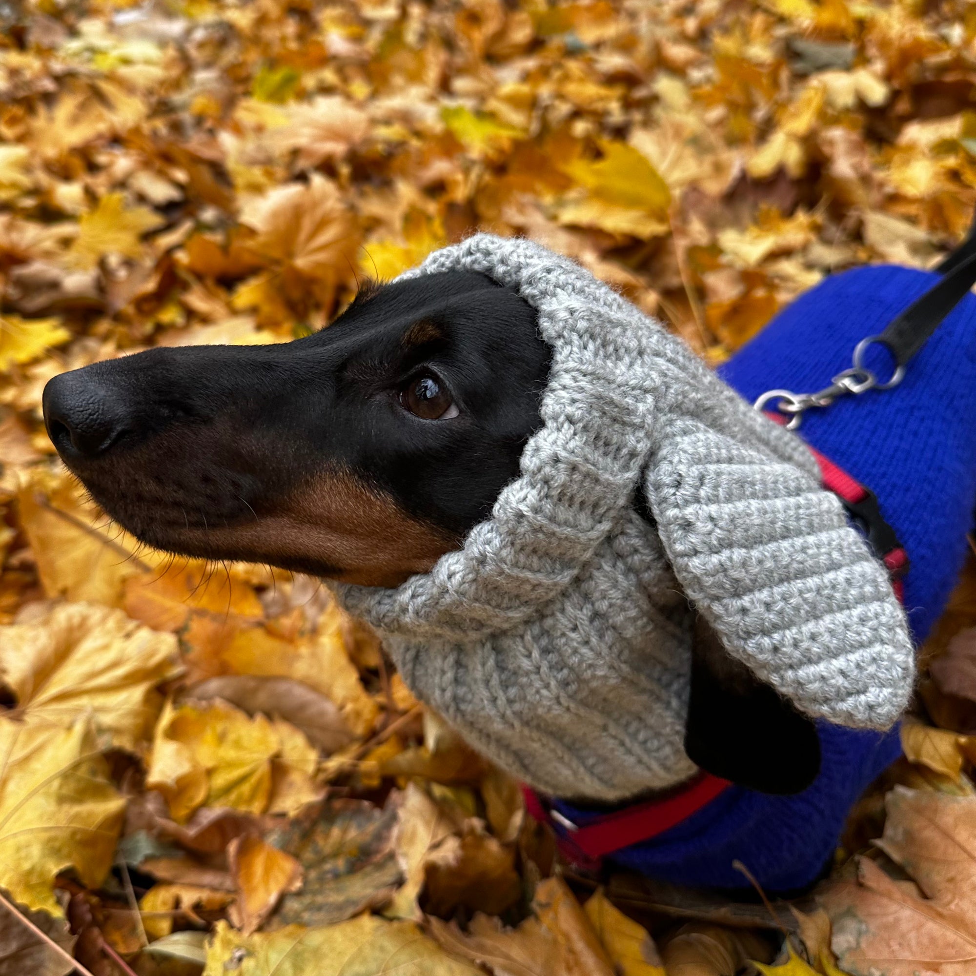 DOG COWL Crochet Pattern (skill level Easy)