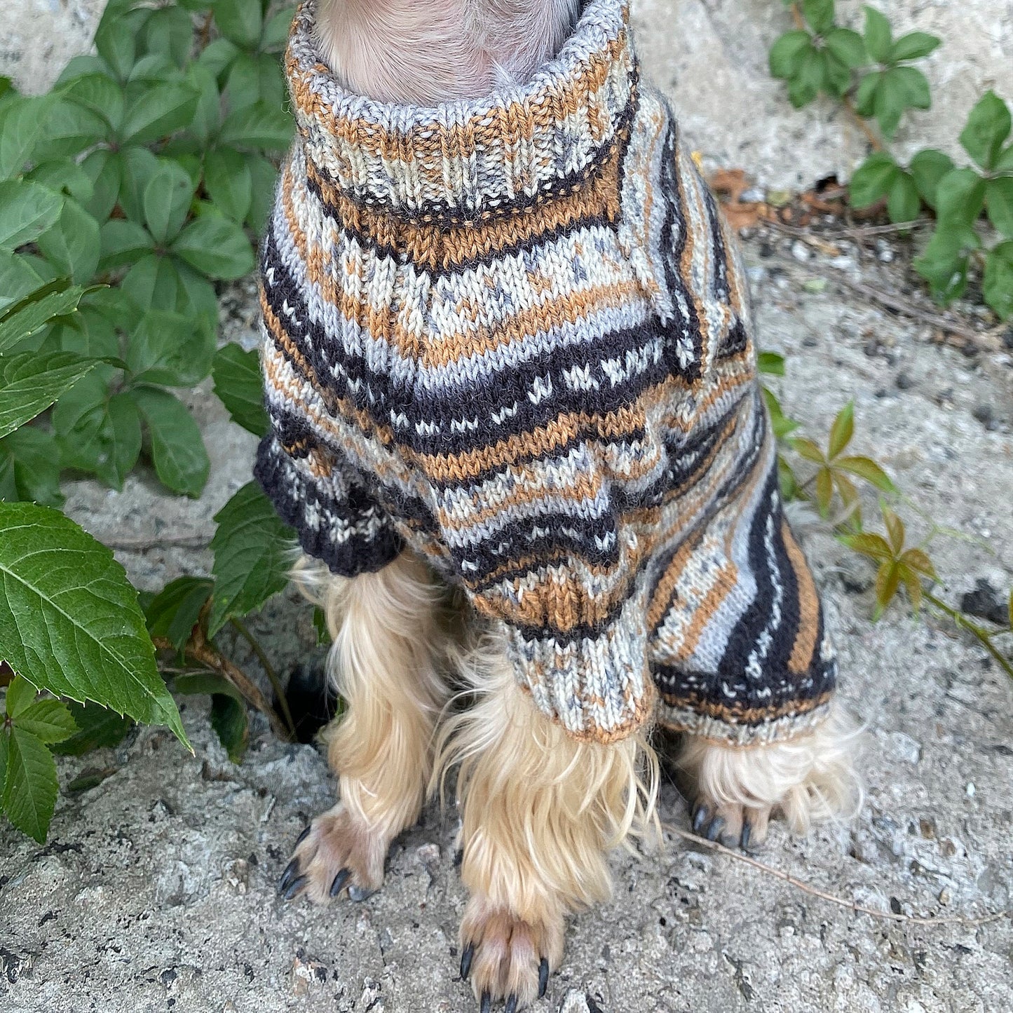 Knitting Dog sweater pattern, US standard terms, Skill level beginner