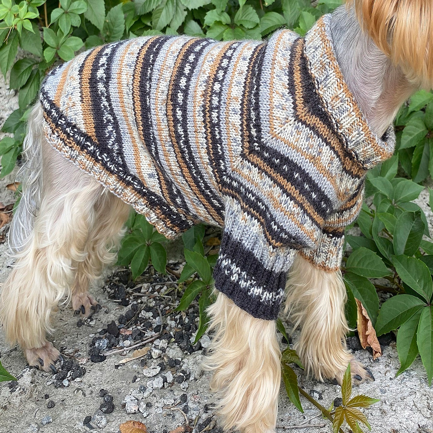 Knitting Dog sweater pattern, US standard terms, Skill level beginner