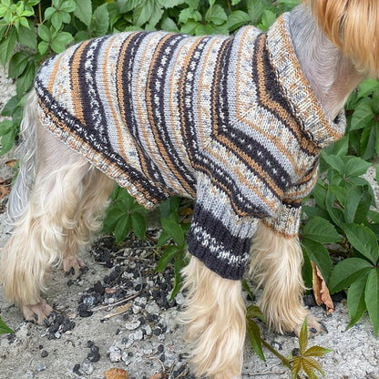 Knitting Dog sweater pattern, US standard terms, Skill level beginner