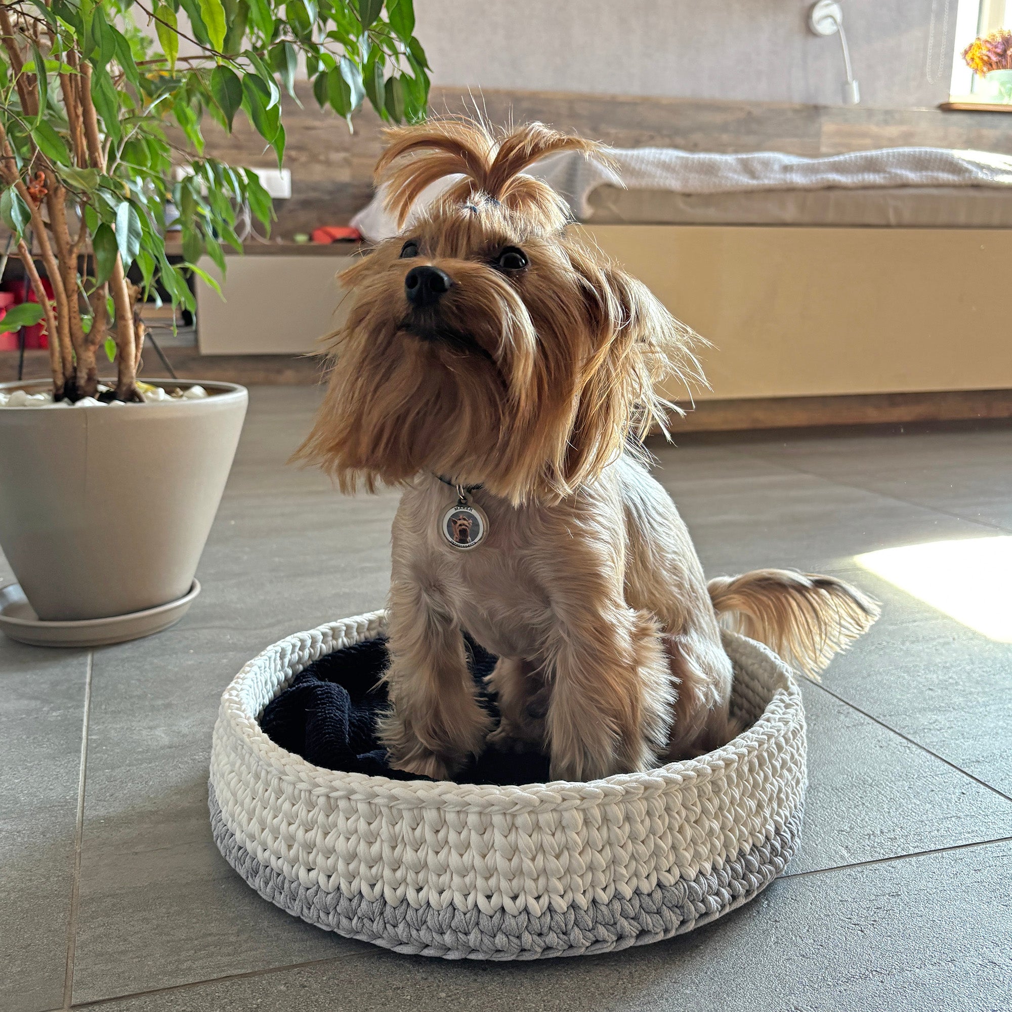 Dog Bed & Mat Crochet Kit (skill level Beginner)
