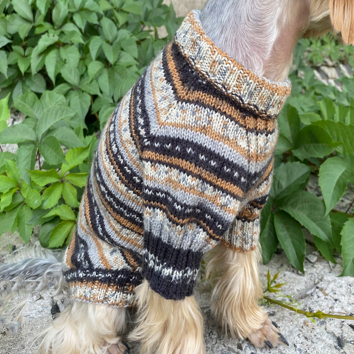 Knitting Dog sweater pattern, US standard terms, Skill level beginner