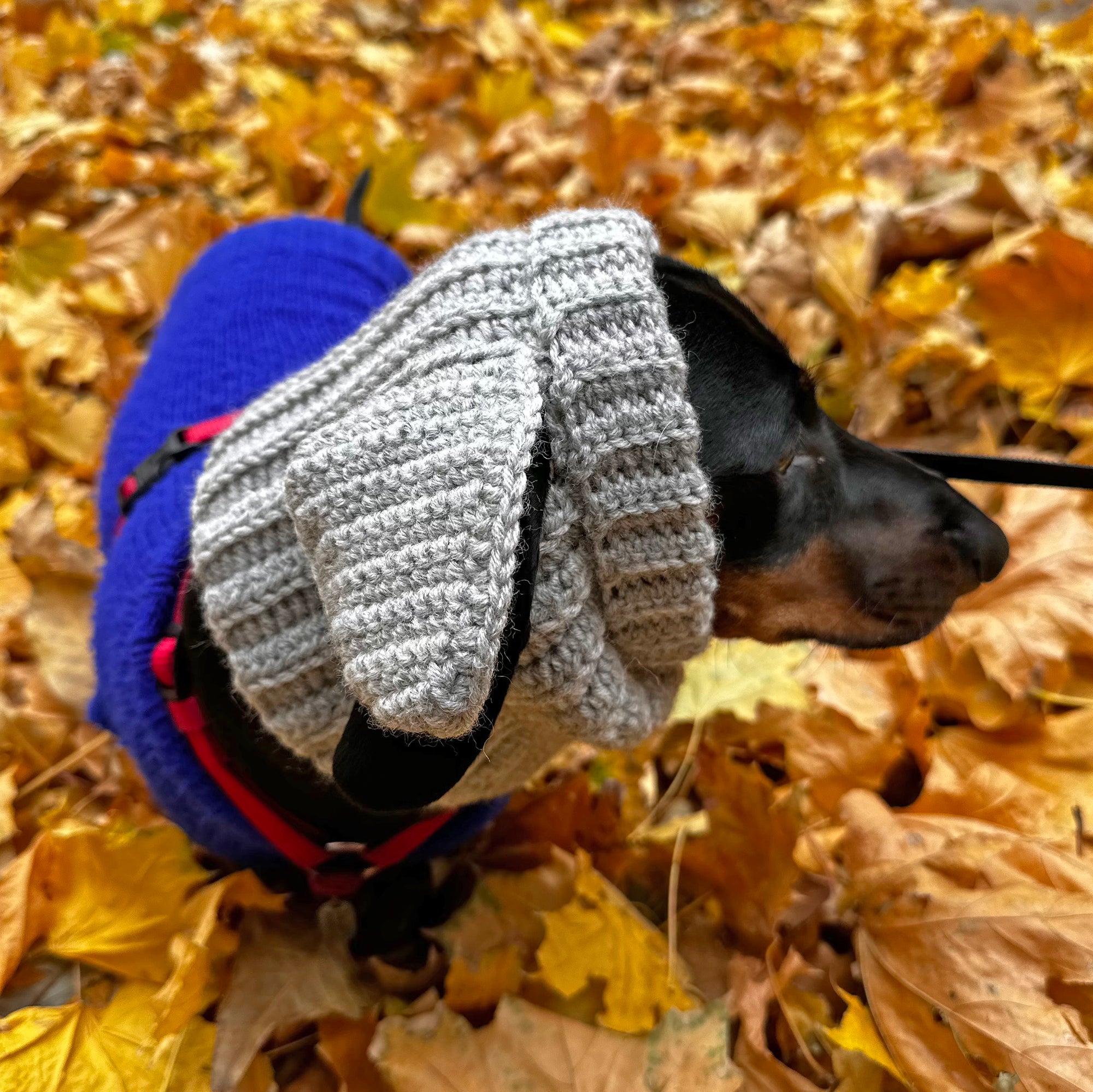 DOG COWL Crochet Pattern (skill level Easy)