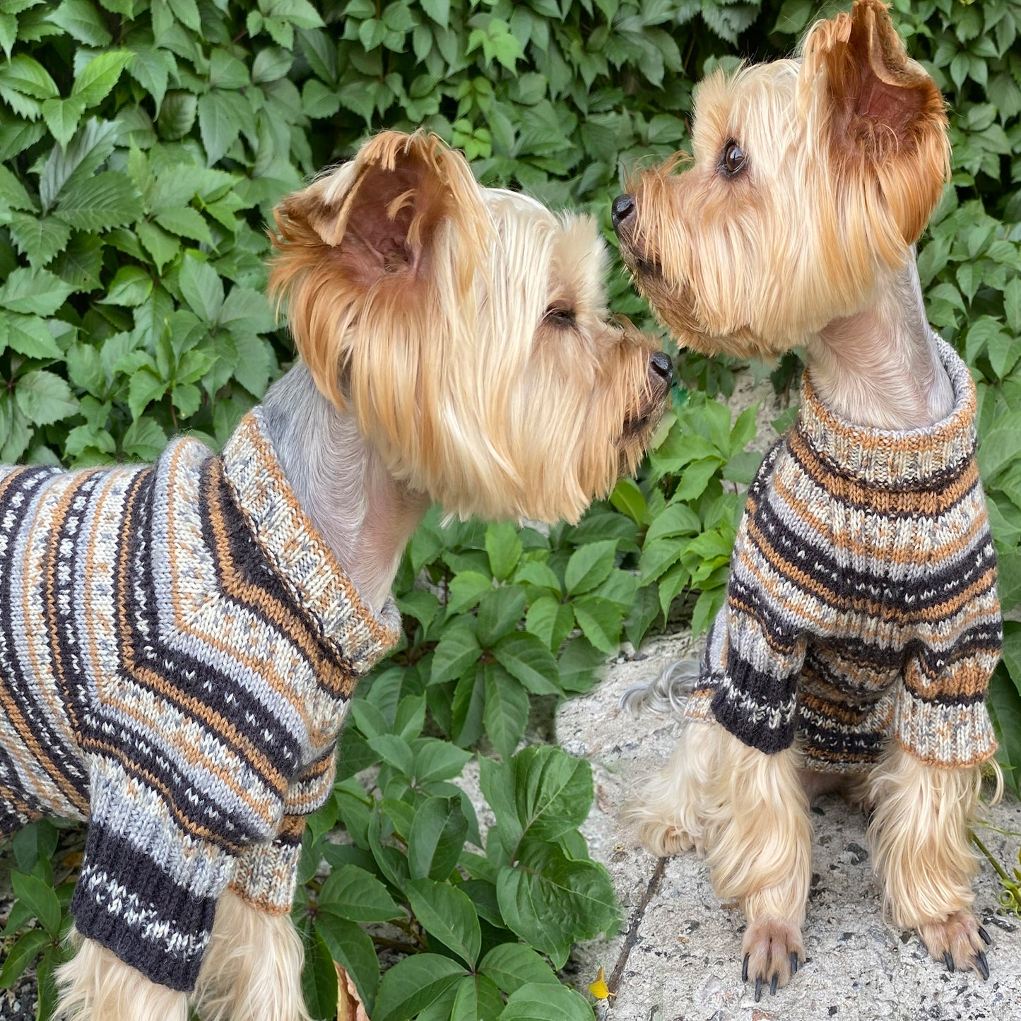 Knitting Dog sweater pattern, US standard terms, Skill level beginner
