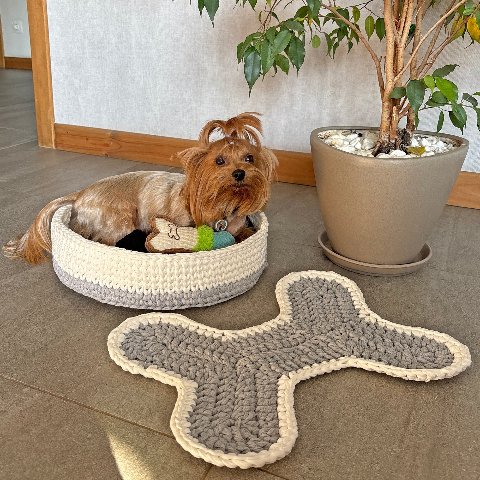 DOG BED & MAT CACTIS CAT HAT Crochet Pattern (skill level Beginner)