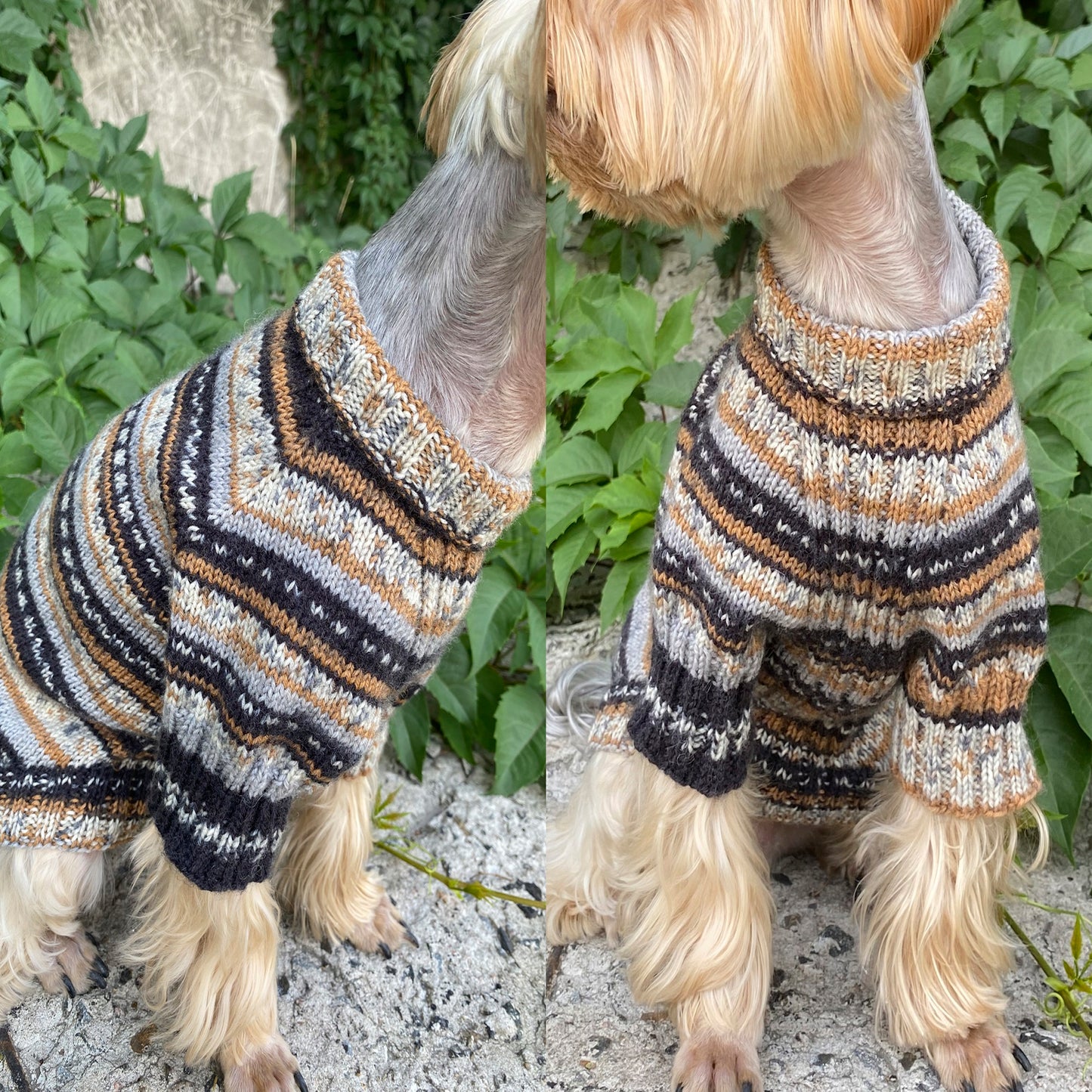 Knitting Dog sweater pattern, US standard terms, Skill level beginner