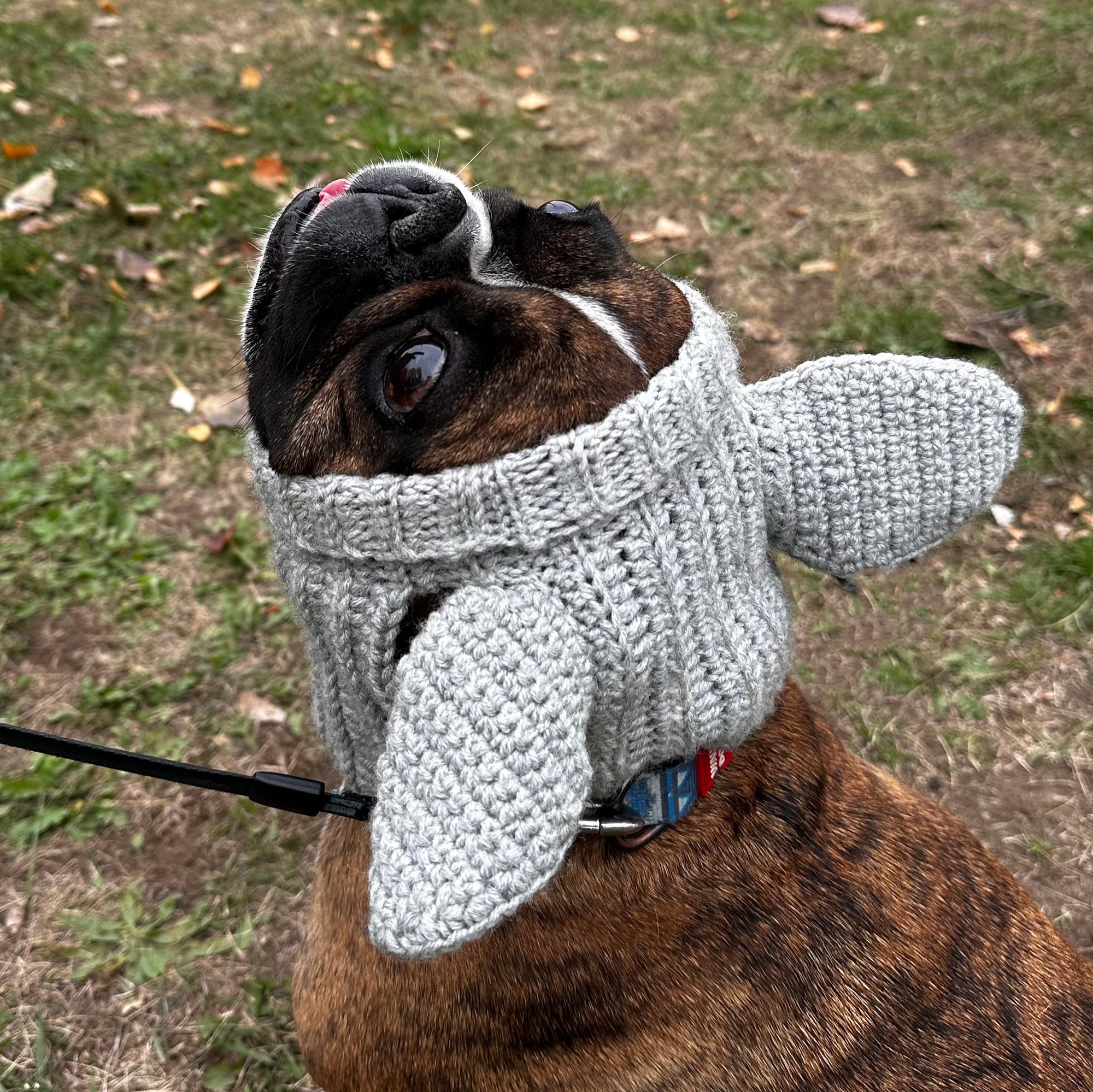 DOG COWL Crochet Pattern (skill level Easy)