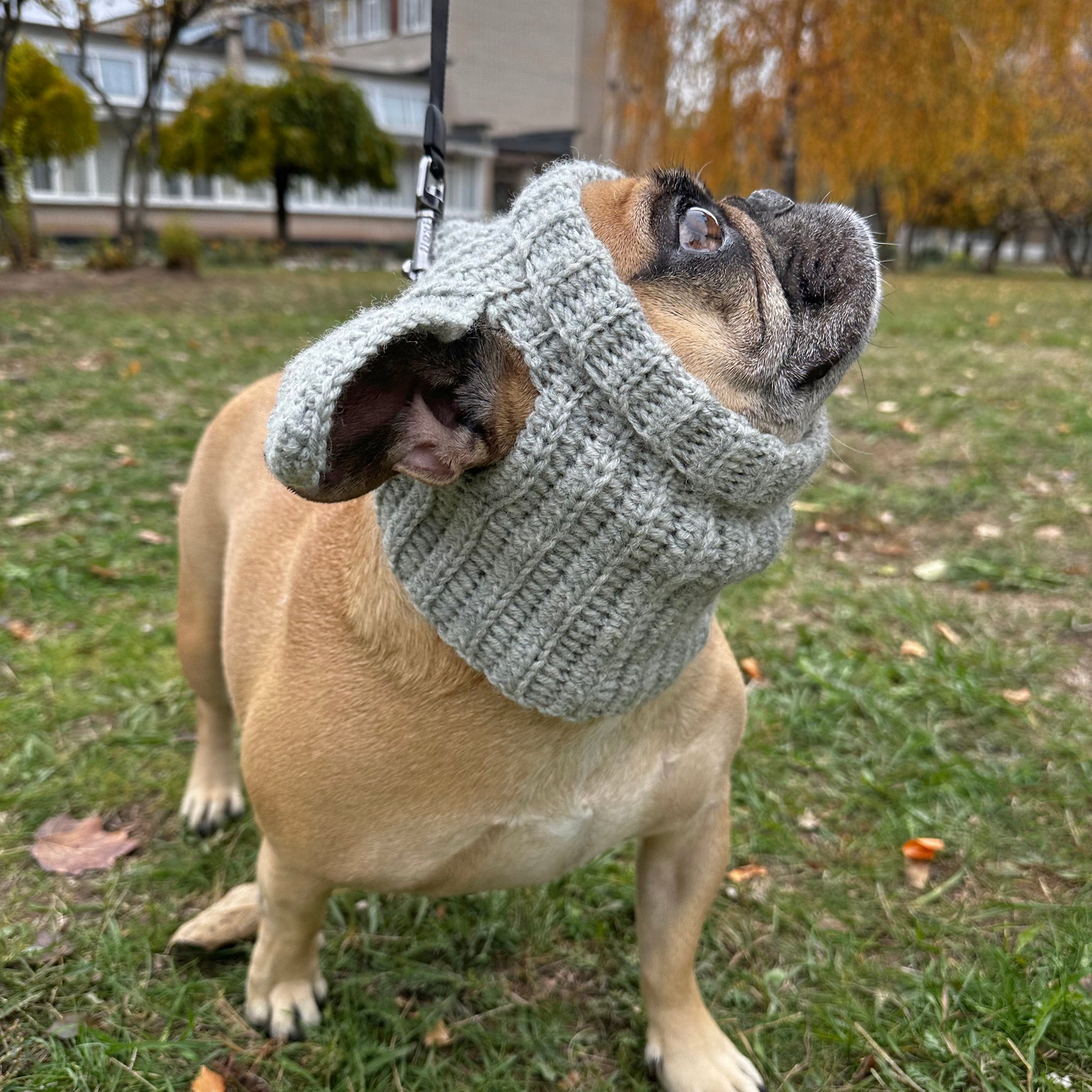 DOG COWL Crochet Pattern (skill level Easy)