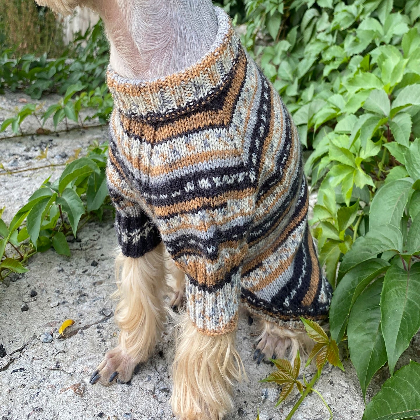 Knitting Dog sweater pattern, US standard terms, Skill level beginner