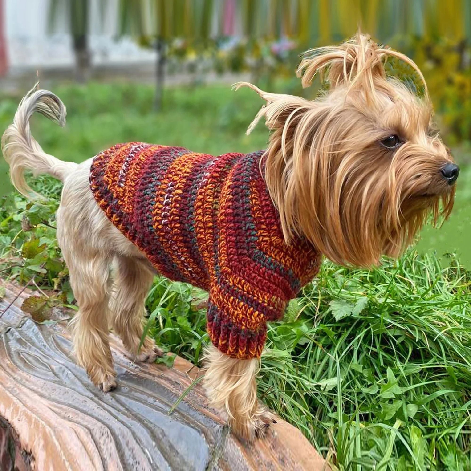 Dog Sweater Crochet Kit  (skill level Beginner)