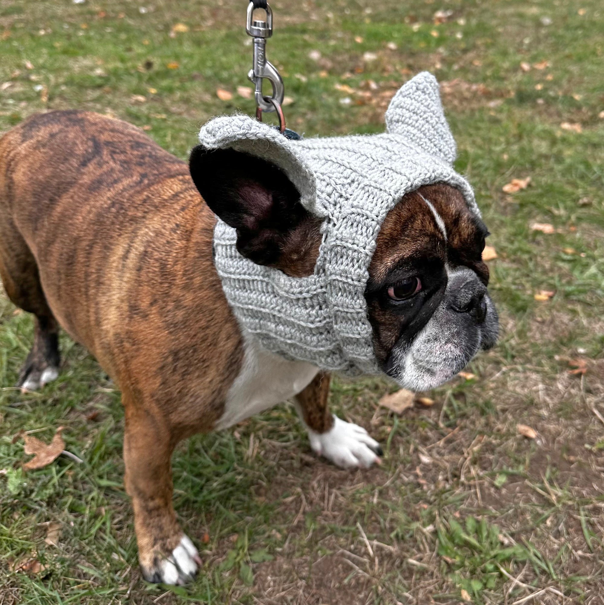 DOG COWL Crochet Pattern (skill level Easy)