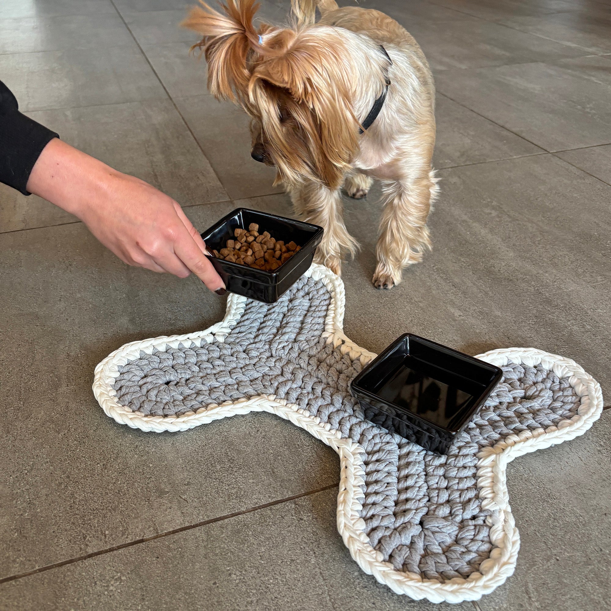 DOG BED & MAT CACTIS CAT HAT Crochet Pattern (skill level Beginner)