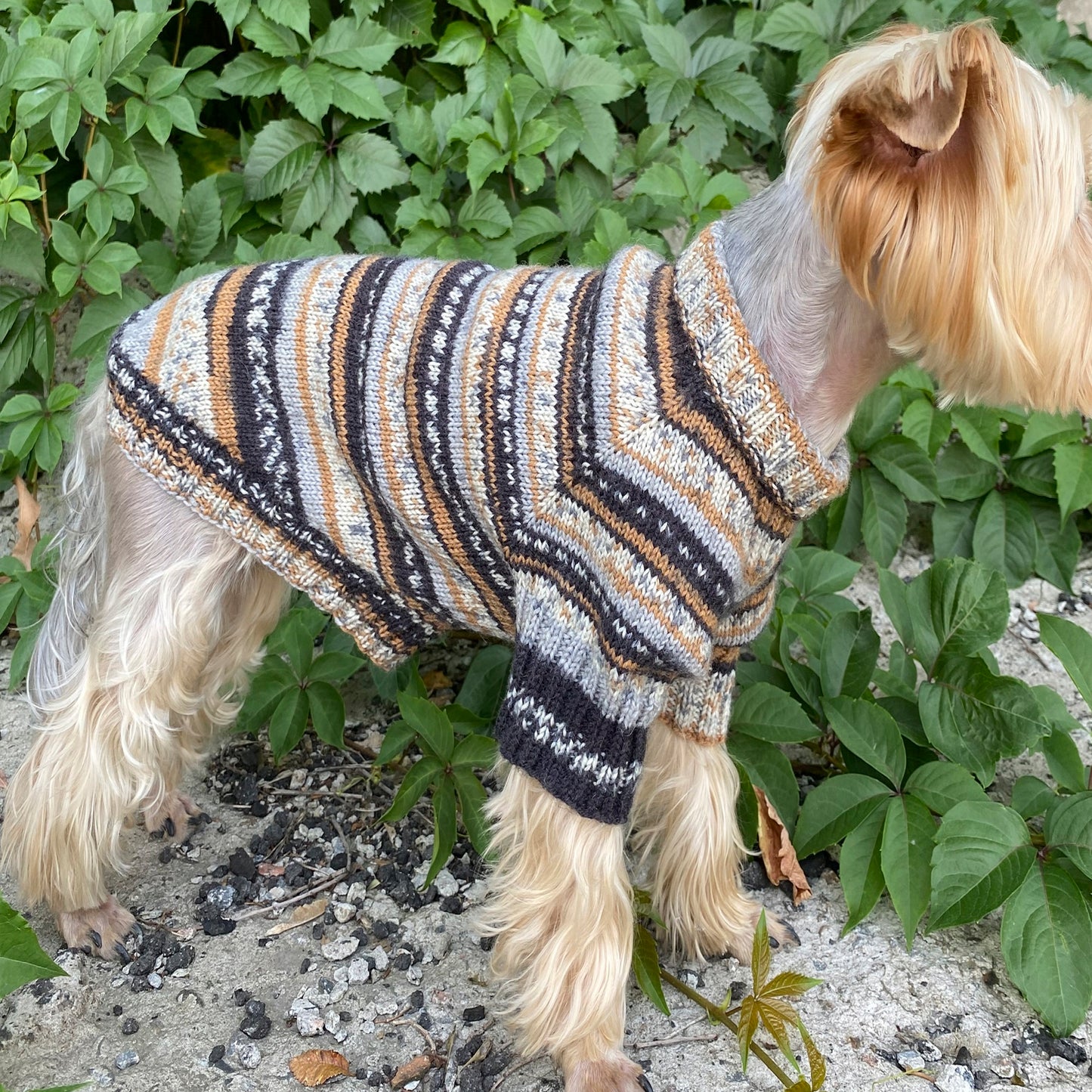 Knitting Dog sweater pattern, US standard terms, Skill level beginner