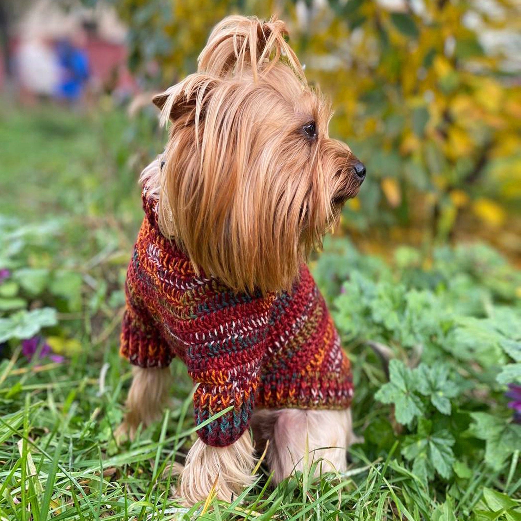 DOG SWEATER Crochet Pattern (skill level intermediate)