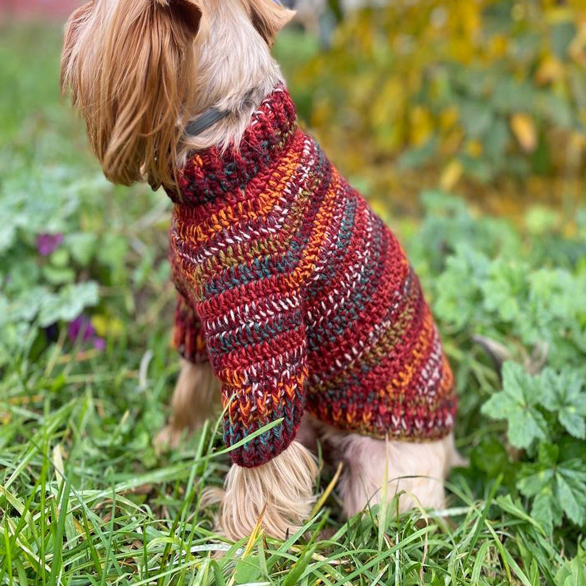 DOG SWEATER Crochet Pattern (skill level intermediate)