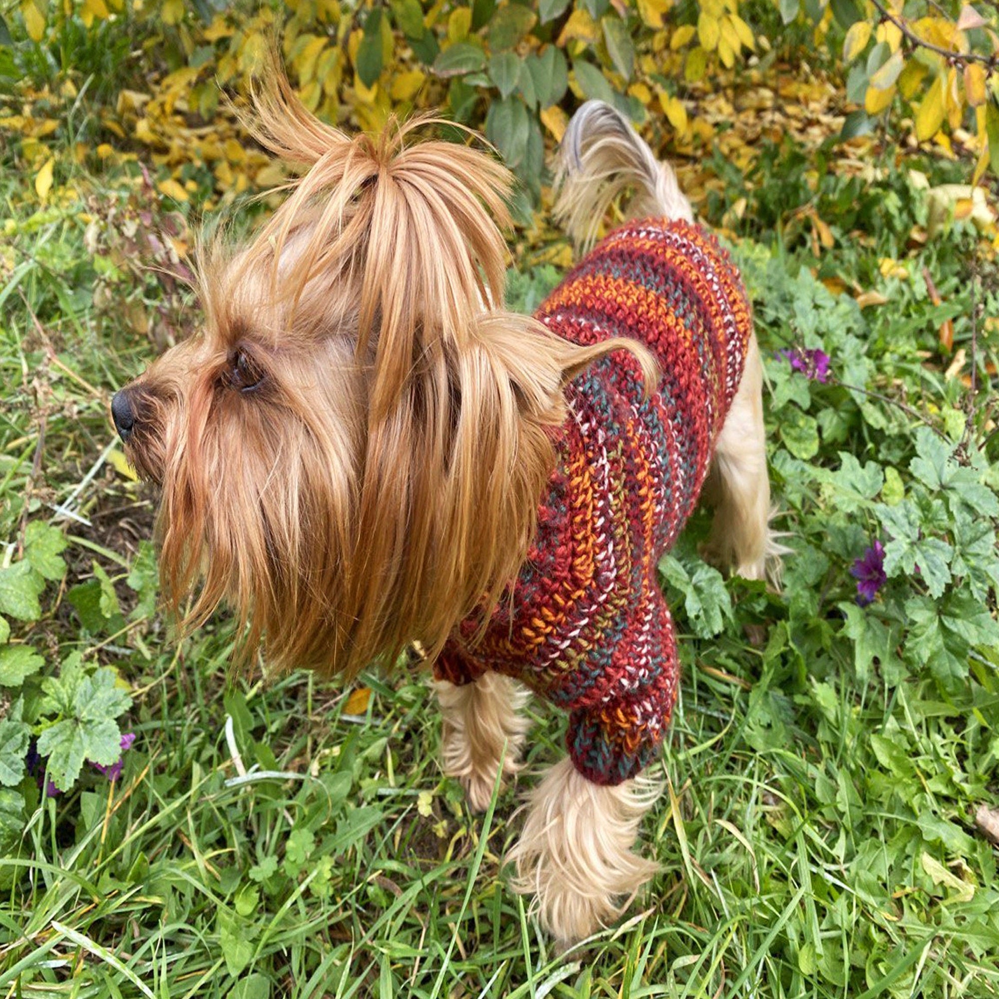 DOG SWEATER Crochet Pattern (skill level intermediate)