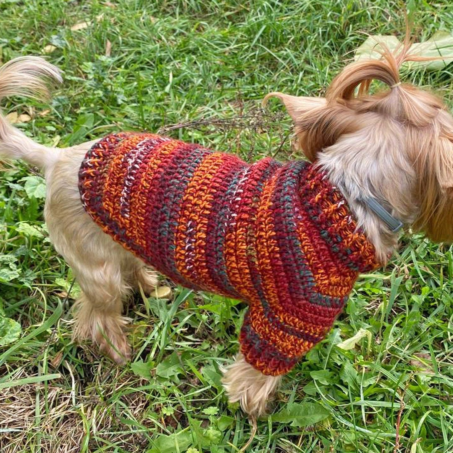 DOG SWEATER pattern, Crochet Sweater for Small Dogs, PDF Dog Sweater Crochet Pattern, Holiday crochet pattern, Beginner Dog Sweater Pattern