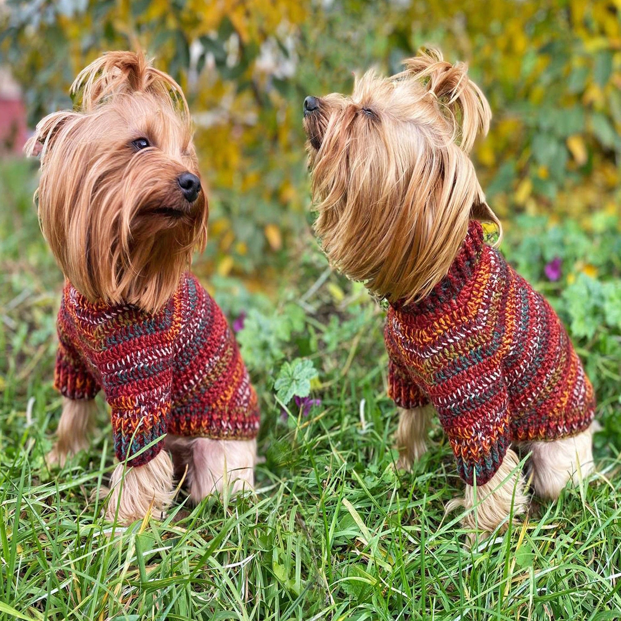 DOG SWEATER Crochet Pattern (skill level intermediate)
