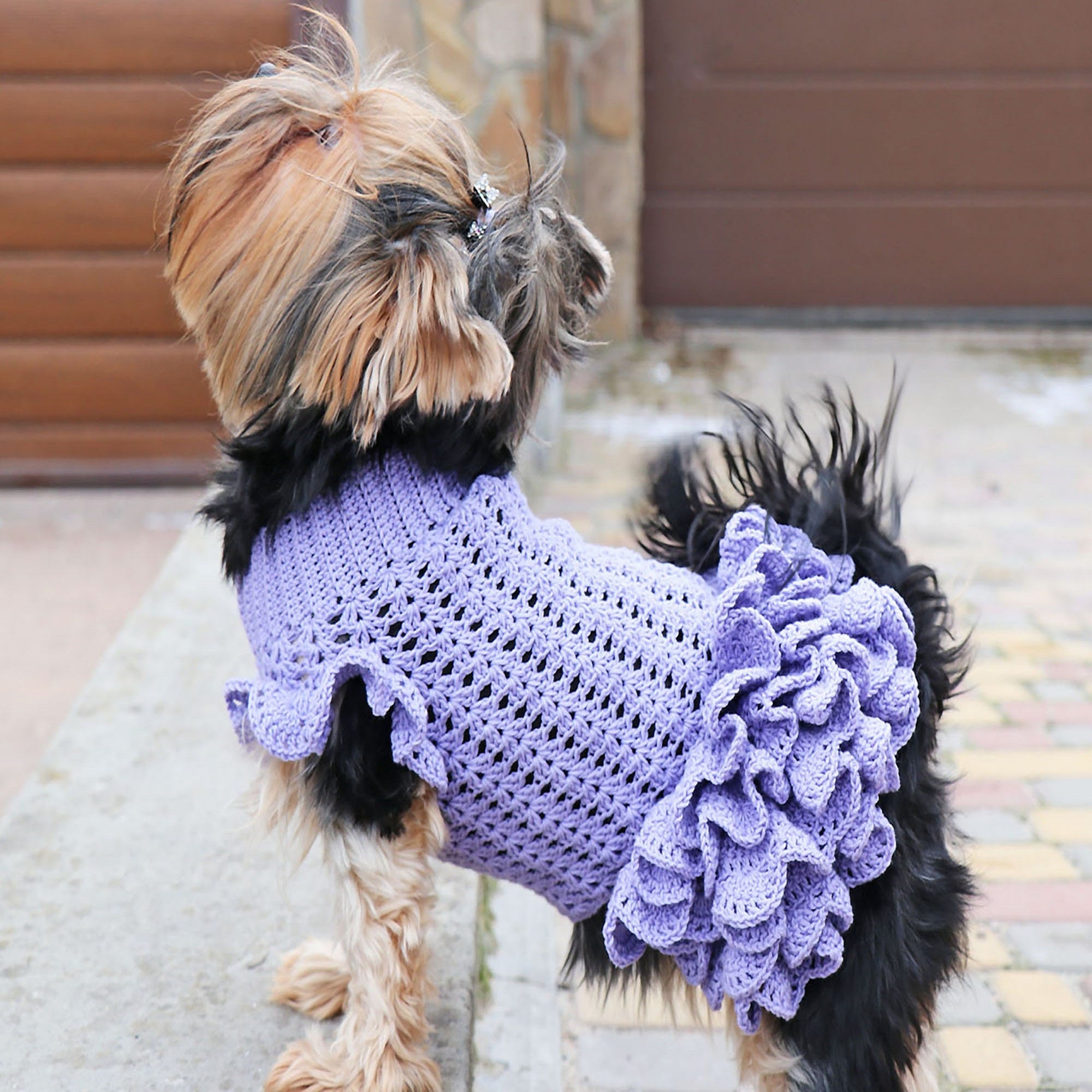 DOG DRESS Crochet Pattern (skill level advanced)