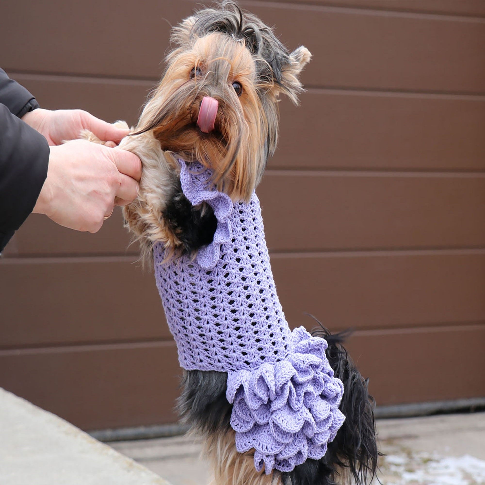 crochet dog dress free pattern DOG DRESS Crochet Pattern (skill level advanced) – Candy-Yarn