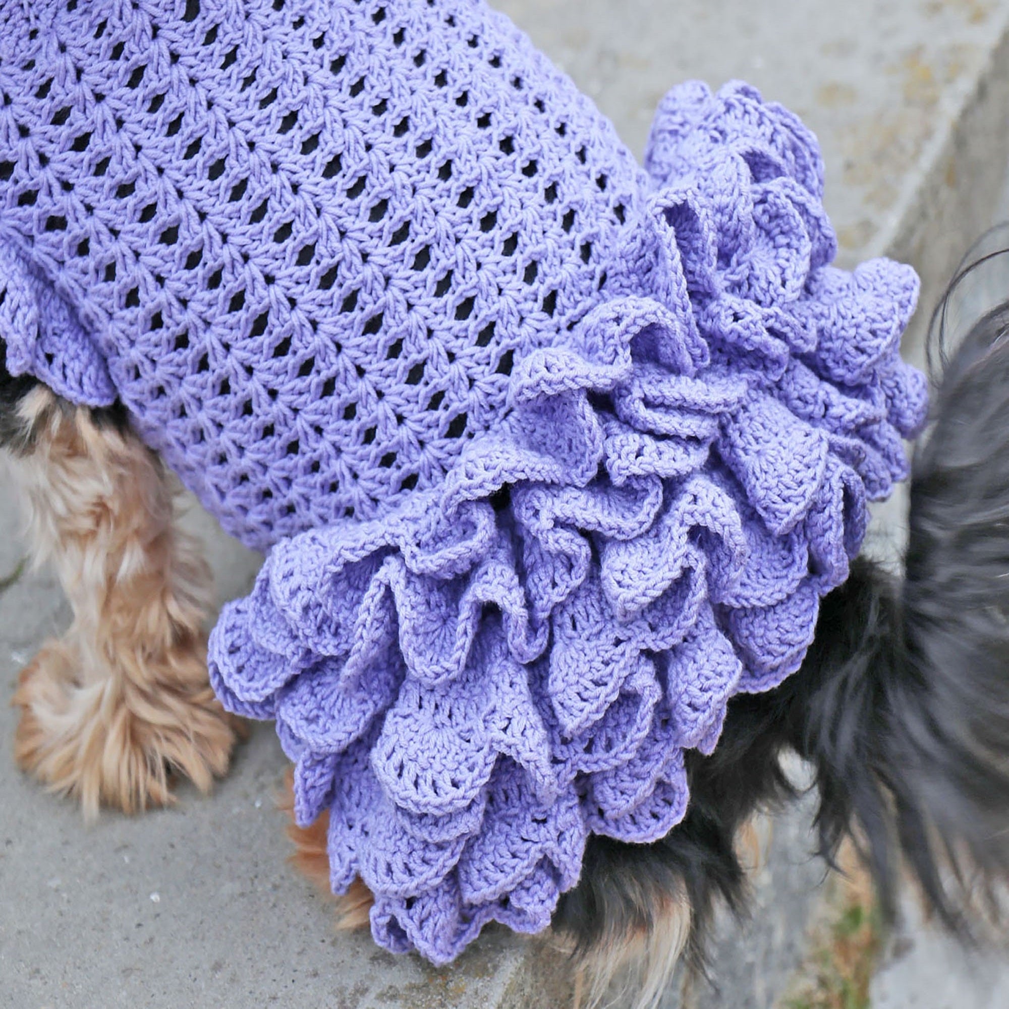 DOG DRESS Crochet Pattern (skill level advanced)