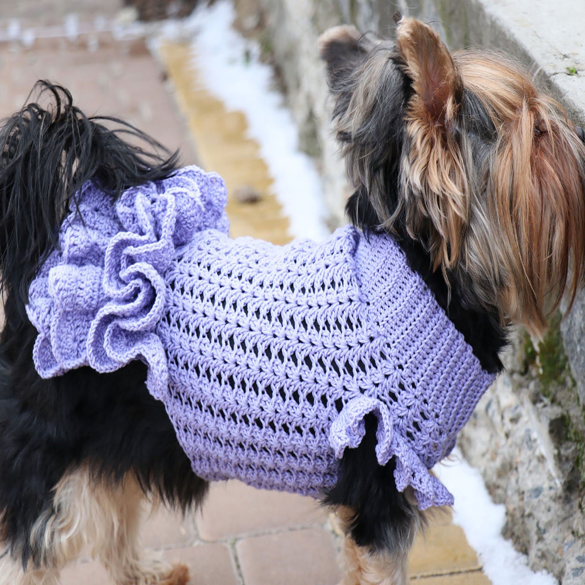 DOG DRESS Crochet Pattern (skill level advanced)