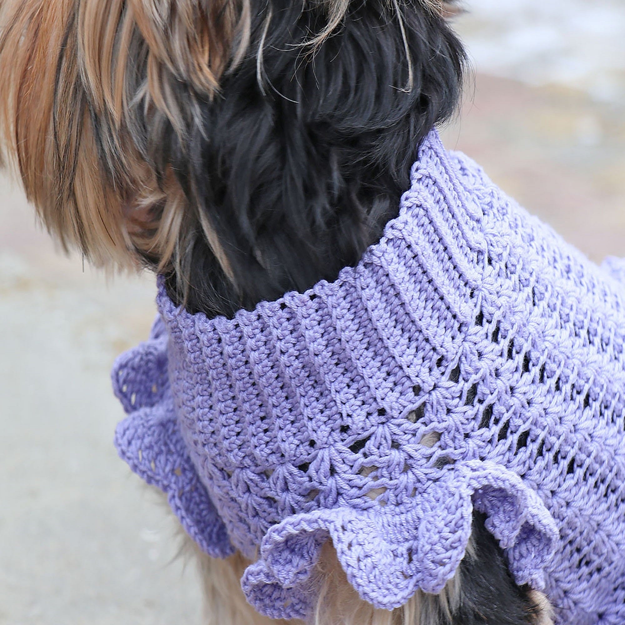 DOG DRESS Crochet Pattern (skill level advanced) – Candy-Yarn
