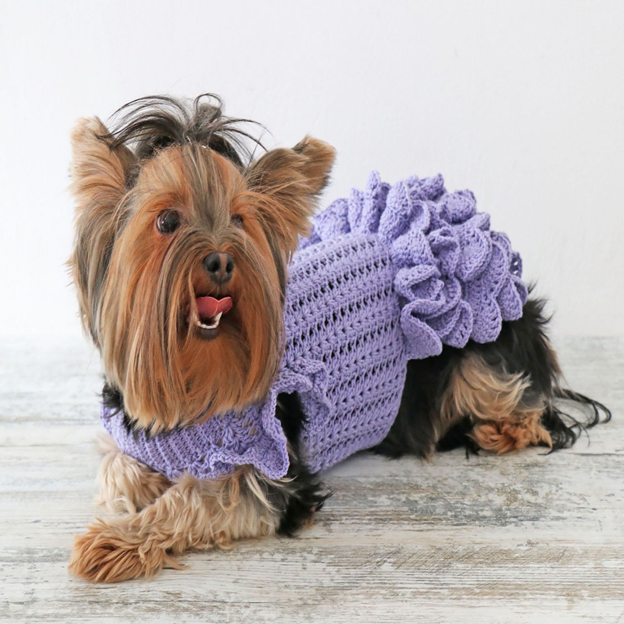 DOG DRESS Crochet Pattern (skill level advanced)