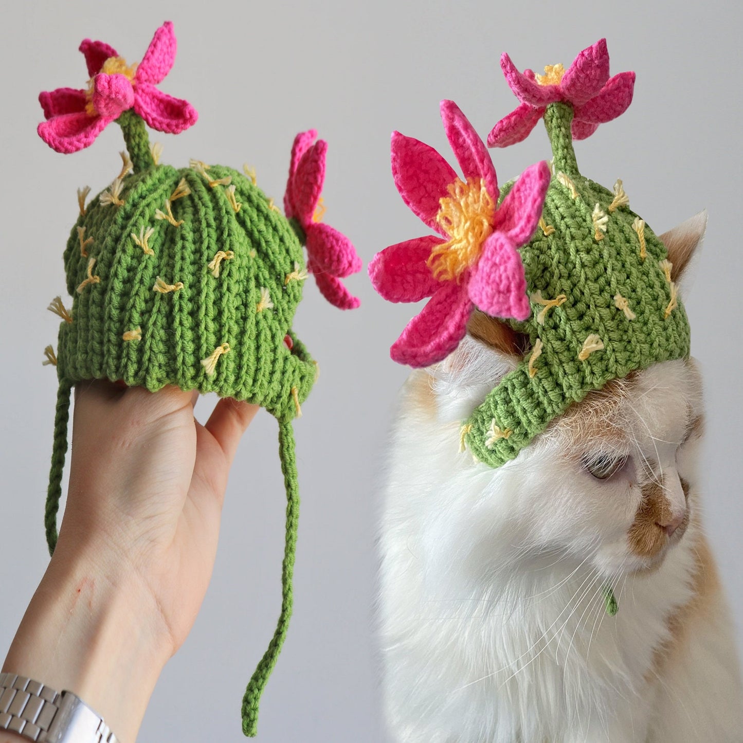 Crochet Pattern Cactus Cat Hat, US standard terms, Skill level beginner