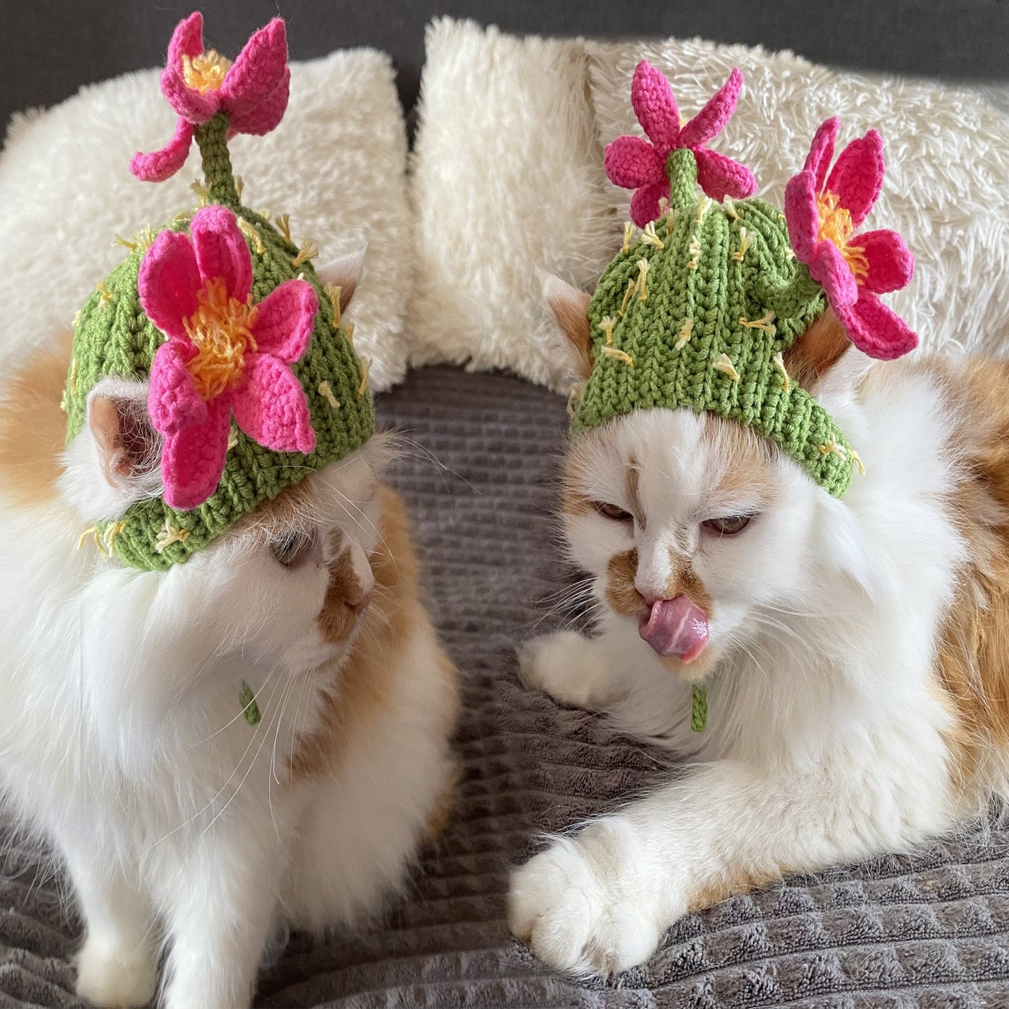 Crochet Pattern Cactus Cat Hat, US standard terms, Skill level beginner