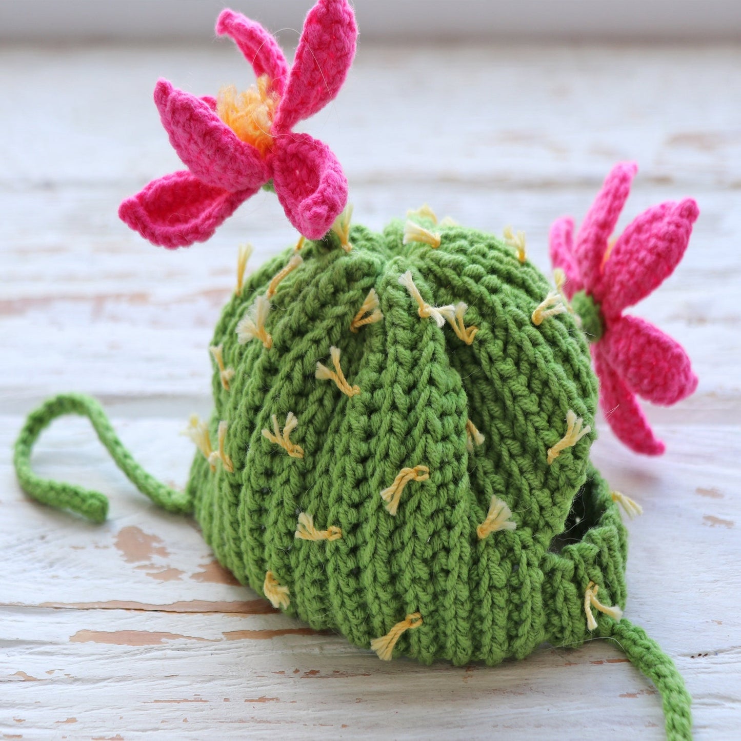 Crochet Pattern Cactus Cat Hat, US standard terms, Skill level beginner