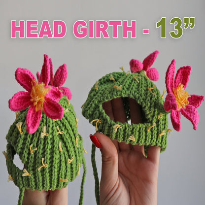 Crochet Pattern Cactus Cat Hat, US standard terms, Skill level beginner