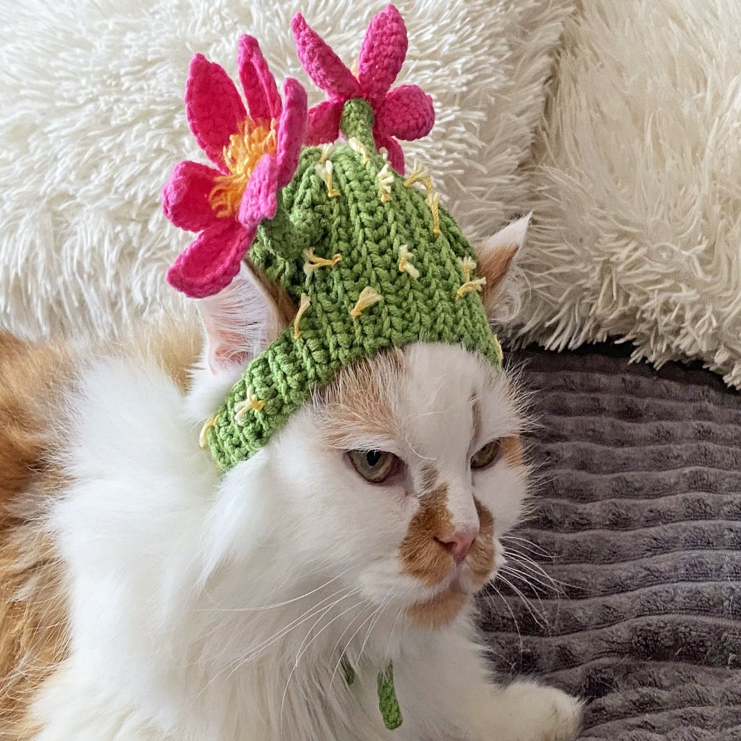 Crochet Pattern Cactus Cat Hat, US standard terms, Skill level beginner