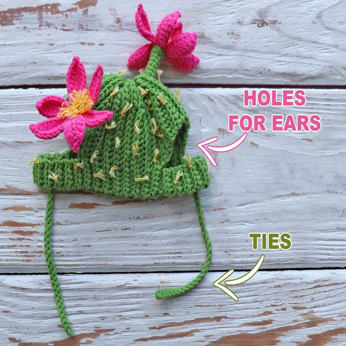 Crochet Pattern Cactus Cat Hat, US standard terms, Skill level beginner