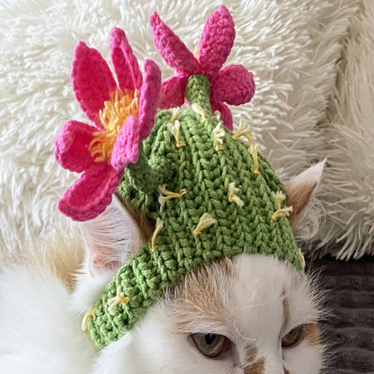 Crochet Pattern Cactus Cat Hat, US standard terms, Skill level beginner