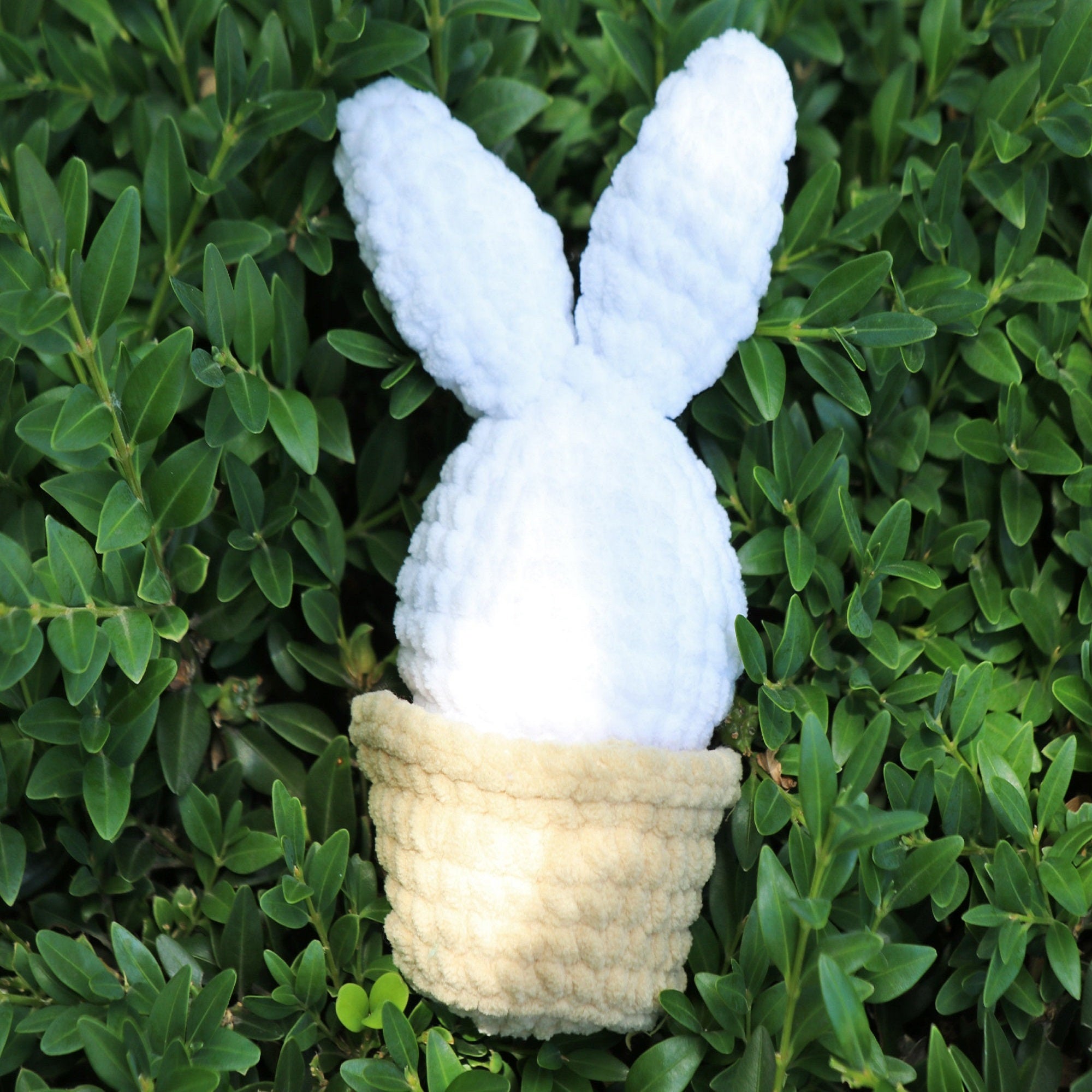 BUNNY POP Crochet Pattern (skill level beginner)