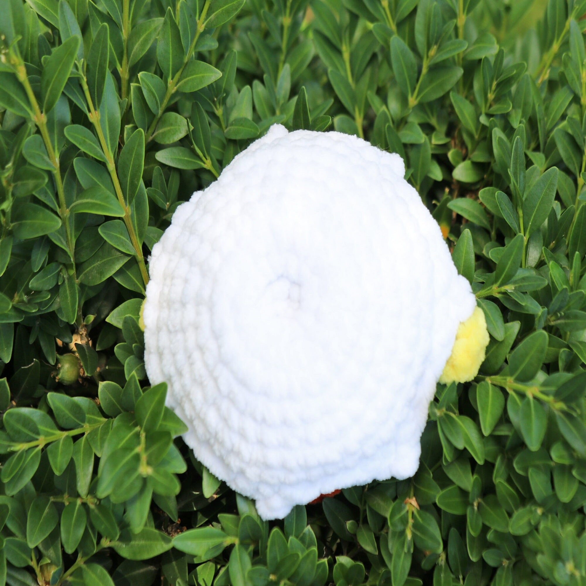 CHICKEN POP Crochet Pattern (skill level beginner)
