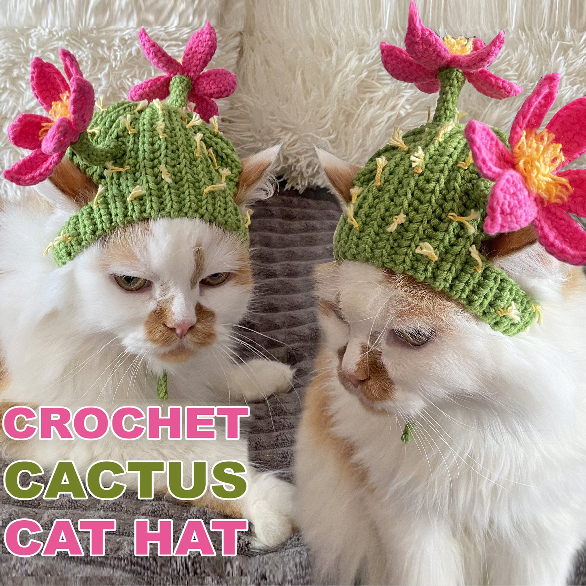 Crochet Cactus Cat Hat Pattern, Crochet Pet Accessory, Easy PDF Pattern, Cute Cat Costume, Pet Gift, Crochet Cat Hat, Instant Download