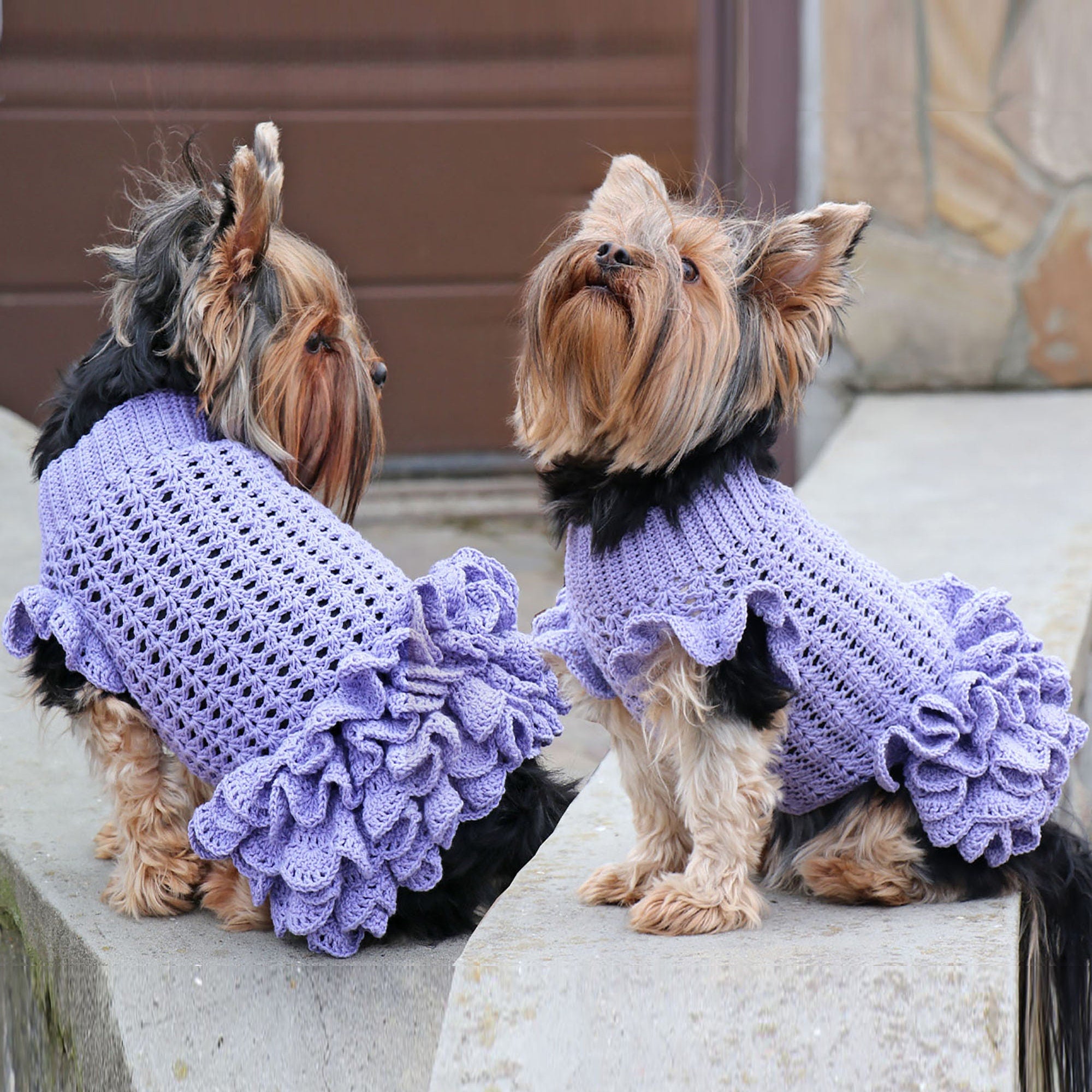 DOG DRESS Crochet Pattern (skill level advanced)