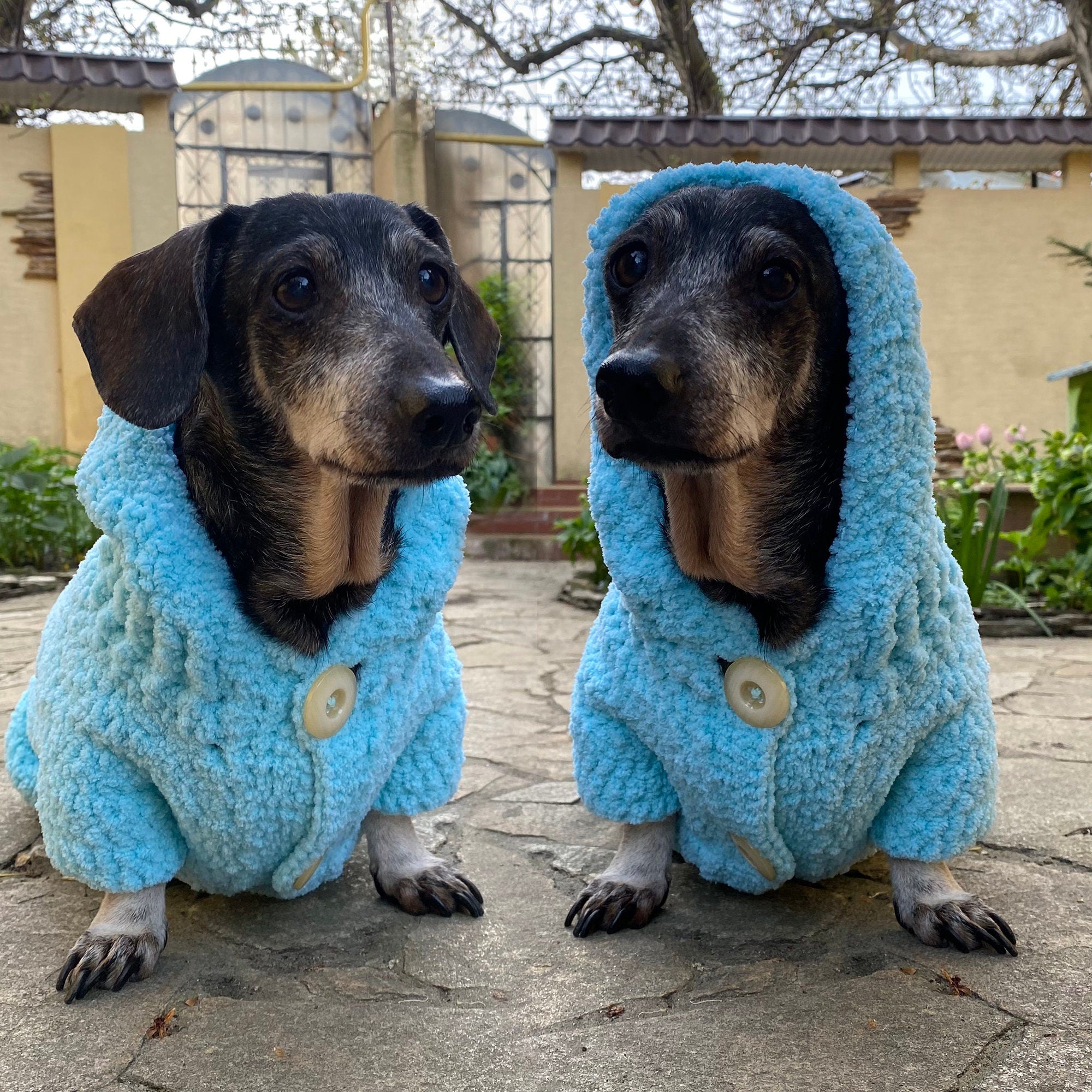 Hooded DOG SWEATER Pattern, Crochet Dog Hoodie PDF Instructions, Instant Download, Crochet Dog Coat, Digital Crochet Pattern