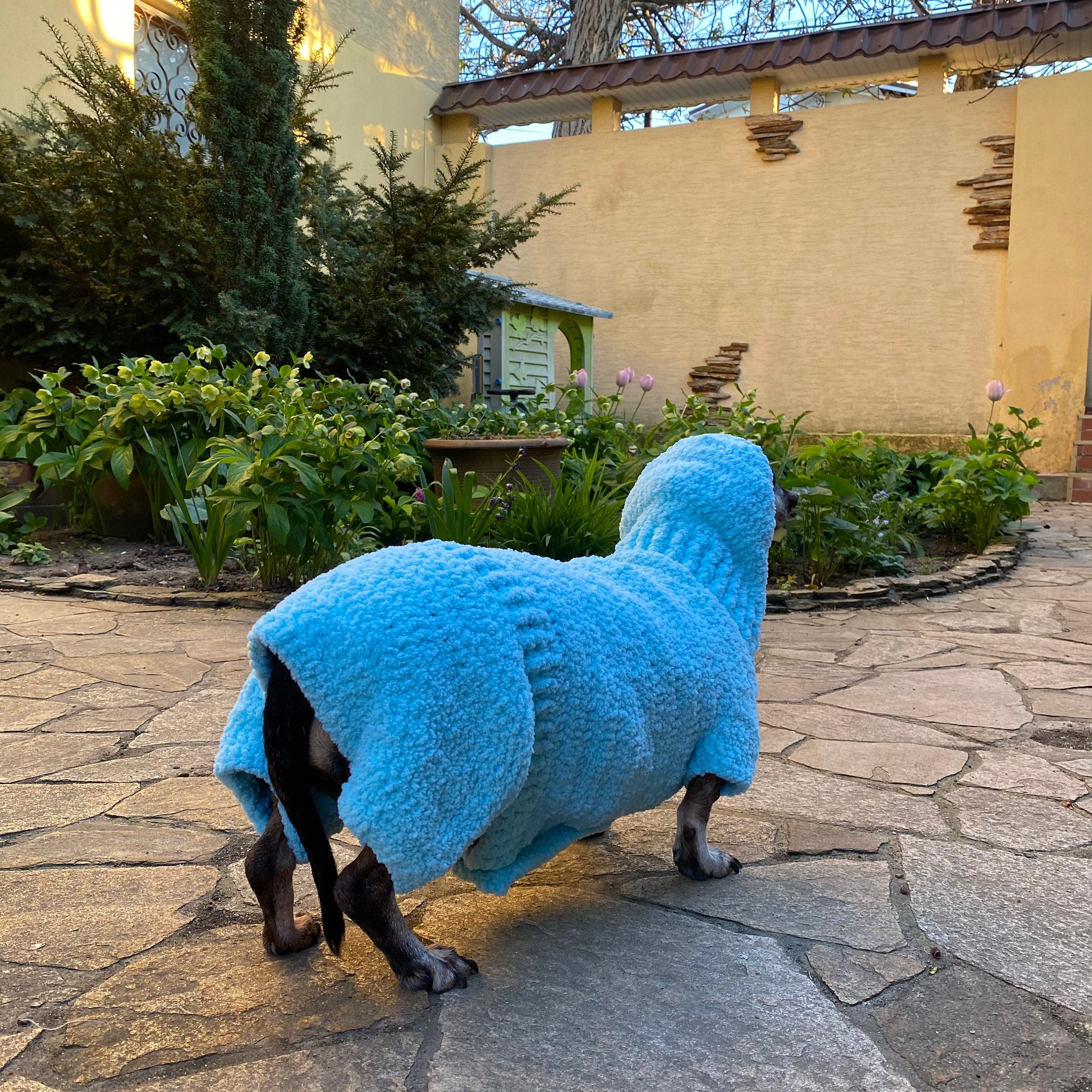 Hooded DOG SWEATER Pattern, Crochet Dog Hoodie PDF Instructions, Instant Download, Crochet Dog Coat, Digital Crochet Pattern