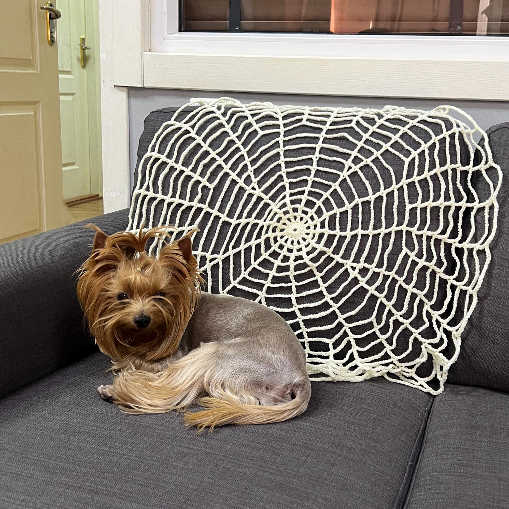 Halloween WEB CROCHET PATTERN, Halloween Home Decor Pdf Pattern, Spiderweb Crochet Pattern, Easy Crochet Pattern, Halloween Decor Beginner